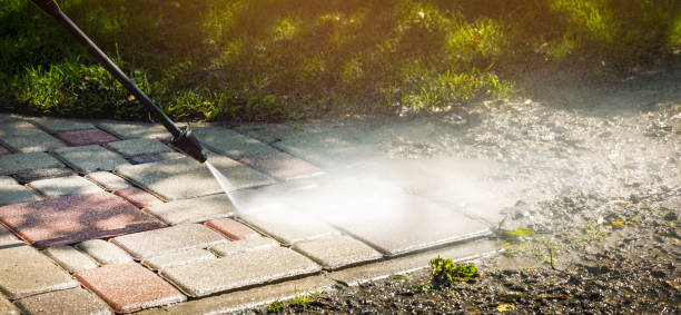 Animal Enclosure Cleaning in Midland, PA